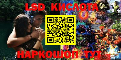 гашик Аргун