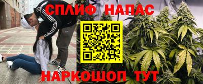 ALPHA-PVP Гатчина