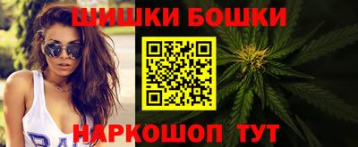 мдпв Кингисепп