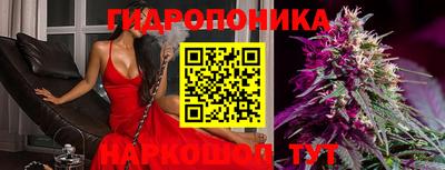 ALPHA-PVP Гатчина