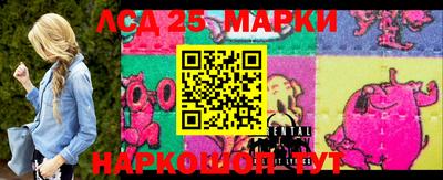 гашик Аргун