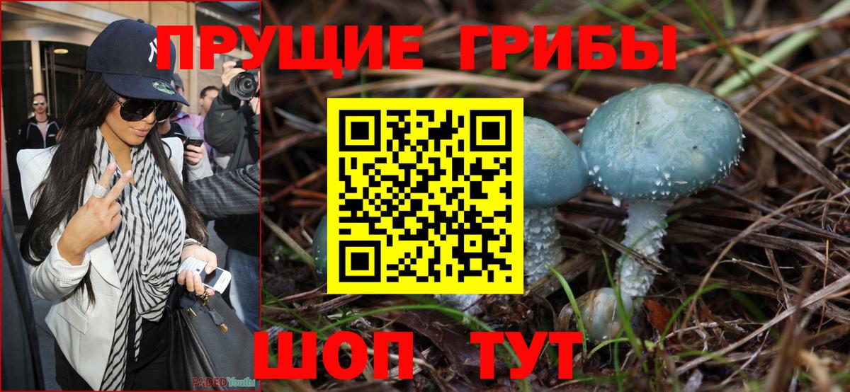 Жигулёвск  Галлюциногенные грибы ЛСД  Вход с VPN 