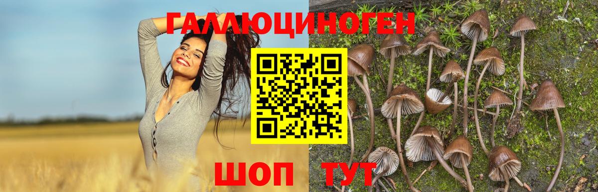 Псилоцибиновые грибы Magic Shrooms  Жигулёвск  Галлюциногенные грибы мицелий 