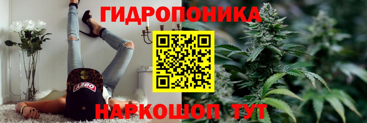 Каннабис планчик Жигулёвск